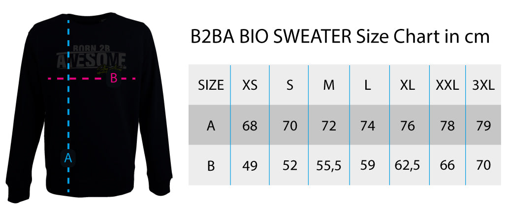 Sticks'n'Stones BIO Hoodie - B2BA Clothing